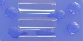 Research: Discovery could be a step toward developing treatments for cancer and autoimmune diseases —