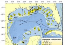 Tech: New results of Deepwater Horizon research to protect marine life against future oil spills — (Report)