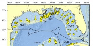Tech: New results of Deepwater Horizon research to protect marine life against future oil spills — (Report)