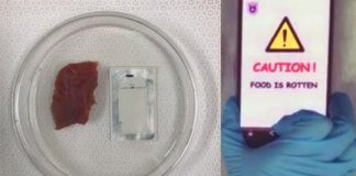 Study: Device sends rotten food warning to smartphones — (Details)