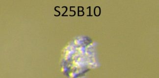 Research: Meteorite ‘Black Beauty’ expands window for when life might have existed on Mars —