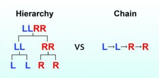 Study: How the office org chart in your brain helps to organize your actions — (Details)