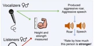 Study: Judging formidability from human vocalizations — (Details)