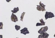 Research: Using artificial intelligence to understand volcanic eruptions from tiny ash —