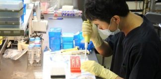 Study: Screening a tiny section of DNA could help East Asian patients avoid severe reactions to some medications — (Details)