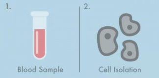 Study: Blood test enables reading our internal clock — (Details)