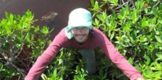 Research: How mangroves help keep the planet cool —