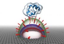 Tech: Discovery of new physics may be useful for filtering biomolecules through a graphene nanopore — (Report)