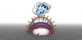 Tech: Discovery of new physics may be useful for filtering biomolecules through a graphene nanopore — (Report)