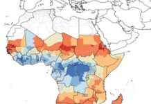 Research: Veterinary flea and tick drugs kill mosquitoes and other insects that carry diseases between humans —
