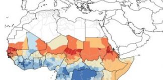 Research: Veterinary flea and tick drugs kill mosquitoes and other insects that carry diseases between humans —