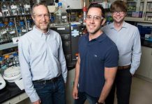 Tech: Researchers discover new enzyme paradigm for critical reaction in converting lignin into useful products — (Report)