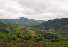 Research: Southeast Asian forest loss greater than expected, with negative climate implications —