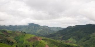 Research: Southeast Asian forest loss greater than expected, with negative climate implications —