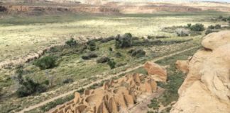 Research: Ancestral people of Chaco Canyon likely grew their own food —