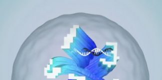 Study: Test tube artificial neural network recognizes ‘molecular handwriting’ — (Details)