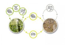 Research: Theory of repeated games —