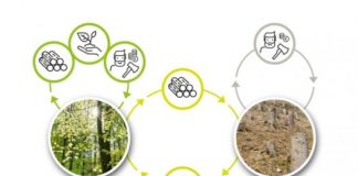 Research: Theory of repeated games —