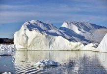 Research: Frigid polar oceans, not balmy coral reefs, are species-formation hot spots —