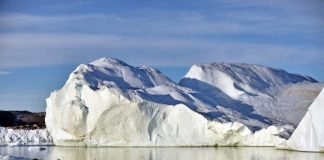 Research: Frigid polar oceans, not balmy coral reefs, are species-formation hot spots —