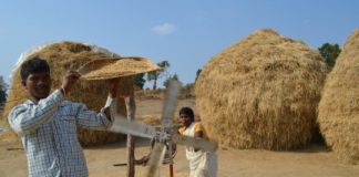 Study: Replacing some rice with less thirsty crops could help to sustainably feed a rapidly growing population — (Details)