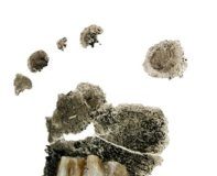 Research: Most complete foot of ancient human child ever —