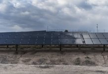 Research: Bacteria-powered solar cell converts light to energy, even under overcast skies —