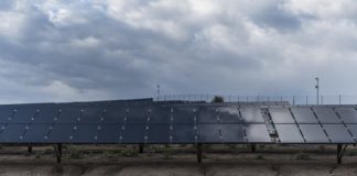 Research: Bacteria-powered solar cell converts light to energy, even under overcast skies —