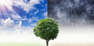 Research: Past warming events suggest climate models fail to capture true warming under business-as-usual scenarios —