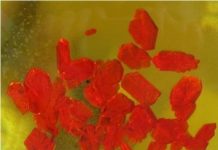 Tech: Scientists develop highly sensitive molecular optical pressure sensor — (Report)