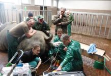 Research: New assay reveals biophysical properties that allow certain proteins to infect others —