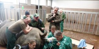 Research: New assay reveals biophysical properties that allow certain proteins to infect others —