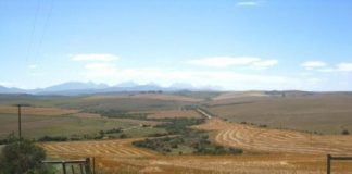 Research: Expansion of agricultural land reduces carbon dioxide absorption —