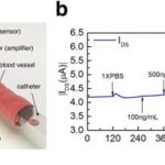 Study: Ultra-thin sensor makes inflammation testing and curing 30 times faster — (Details)