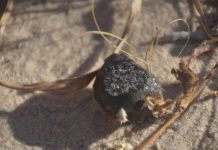 Research: Fragment of impacting asteroid recovered in Botswana —