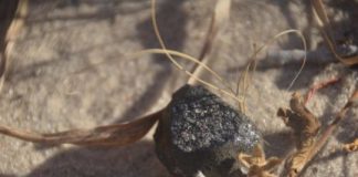 Research: Fragment of impacting asteroid recovered in Botswana —