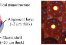 Tech: Photonic capsules for injectable laser resonators — (Report)