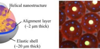 Tech: Photonic capsules for injectable laser resonators — (Report)
