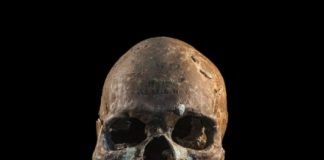 Research: Ancient DNA testing solves 100-year-old controversy in Southeast Asian prehistory —