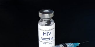Study: Novel HIV vaccine candidate is safe and induces immune response in healthy adults and monkeys — (Details)