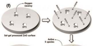 Tech: Realization of color filter-free image sensors — (Report)