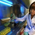 Study: New targets found to reduce blood vessel damage in diabetes — (Details)