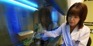 Study: New targets found to reduce blood vessel damage in diabetes — (Details)