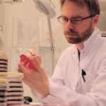 Study: The transmission of NDM bacteria between dogs and humans has been established for the first time — (Details)