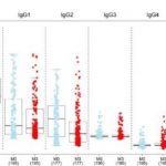 Study: New technique used to analyse levels and type of antibodies to a carbohydrate expressed by most living beings — (Details)