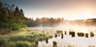 Research: Fossil fuel emissions would have to be cut by further 20 percent to meet 1.5 °C target —