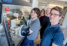 Tech: Catalysts should be as stable, efficient and adaptable to certain applications as possible — (Report)