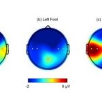 Study: Pucker up, baby! Lips take center stage in infants’ brains — (Details)