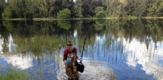 Research: Fears of nitrous oxide release not supported by study —