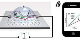Study: Biosensor chip detects single nucleotide polymorphism wirelessly, with higher sensitivity — (Details)